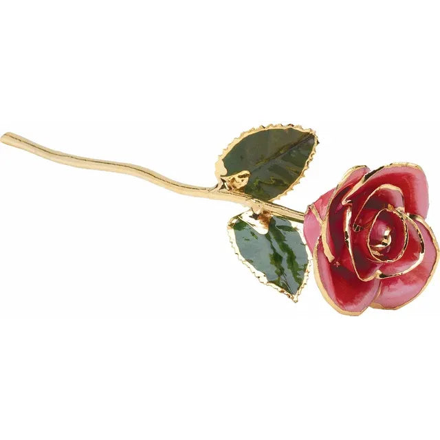 Rose - Traditional Colors with Gold Trim